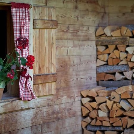 Saukaserstub'N Apartments - Ferienwohnung Schuetzkogel Йохберг Экстерьер фото